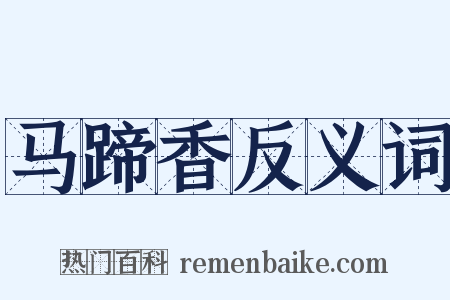 马蹄香反义词是什么意思的图片